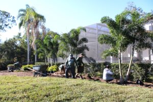 Landscape design in Maitland, FL