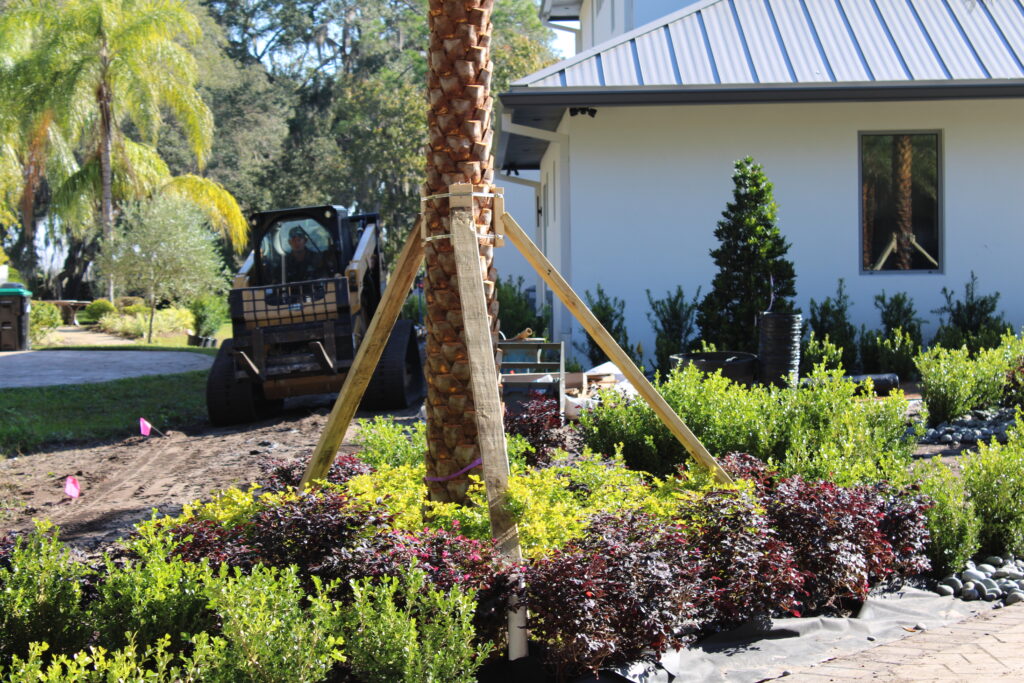 Landscaping services in Longwood, FL