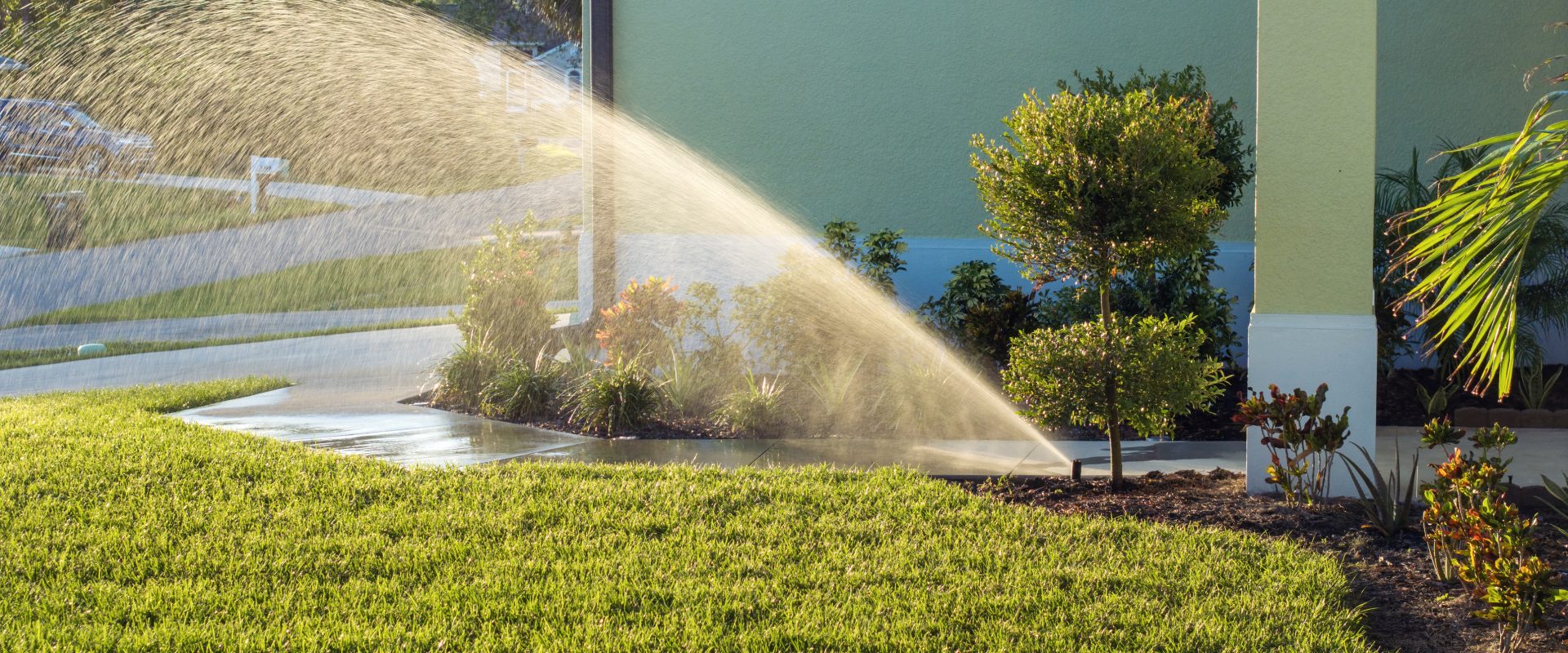 Lawn grass watering with automated sprinkler. Keeping green backyard during dry season.